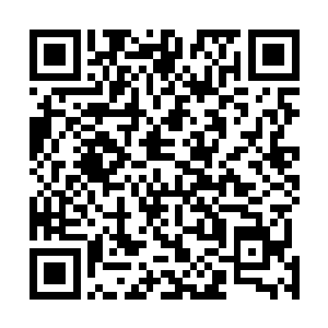 昨儿个晌午吃了姚若溪薄荷酱的那些人也都指责王石头家二维码生成