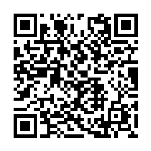 昨夜殿下吩咐将士们将所有尸体全部都转移到此处二维码生成