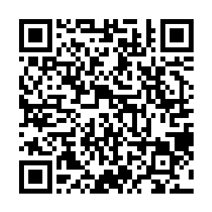 昨天下午我们去电路故障的地方守着修复……好多人围着二维码生成