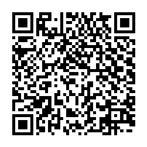 昨天南雄发出的挑战还可以看做南雄看到许紫烟不断地向靠前名字的修士挑战二维码生成