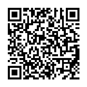 昨天彩排的时候陈小秋和唐雅文的吻戏也有点不对劲……二维码生成