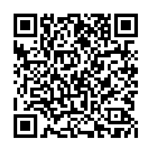 昨天我把万明宗的人都派到秘境里去追杀妖魔了二维码生成