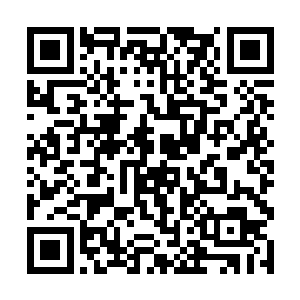 昨天晚上吃饭的时候秦洛就知道苏子到了燕京的消息二维码生成