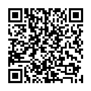 昨天晚上在古楼的内室里……自己好像是很丢脸的昏过去了二维码生成