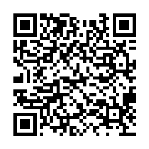 昨天晚上她和冲言道长的一大家子正在客厅看电视二维码生成