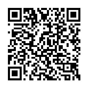 昨天晚上政府大楼前的将士们也都是这么想的吧二维码生成