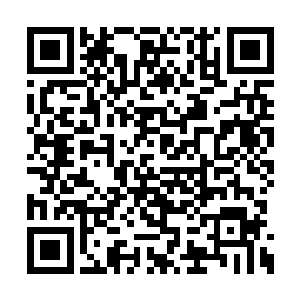 昨天炼器城里的修士们几乎都在酒楼内彻夜欢饮二维码生成