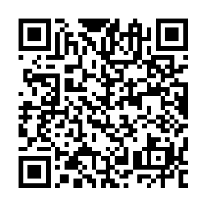 昨天看到亲adgjmptw830322说安然不提醒就忘记了投推荐票二维码生成