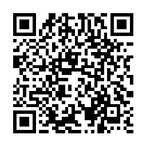 昨天那两个男的知道一个帮派被你们的朋友给屠杀之后二维码生成