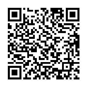 昨日方才回到潜龙堂正在聚会的精英站在凌天阁之上二维码生成