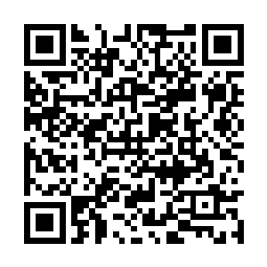 昨日清王妃联合夏相国家的嫡小姐涉嫌谋害璃王妃二维码生成