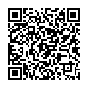 昨晚我的人看到张小凡是十二点二十分左右进入的会馆二维码生成