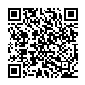 昭华真人刚一出手便立刻被一股巨大的反震之力冲散了他的道法二维码生成