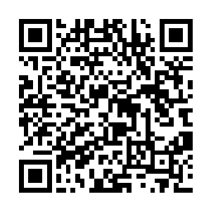 是一具没有任何生命气息的尸体便出现在了众人眼前二维码生成