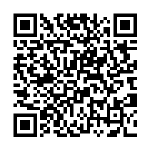 是一种专门将卵寄生在其他动物体内才能繁衍的生物二维码生成