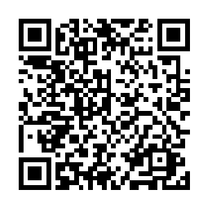是不是他们在屠村时还劫走了望江村的熟悉附近地形的人二维码生成