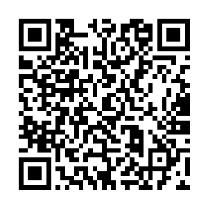 是不是他的孙儿也会如同南南那样被教导的那般出色二维码生成