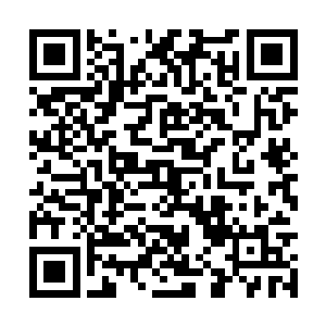 是不是因为荆湖南路的事让他们以为可以有机可趁二维码生成