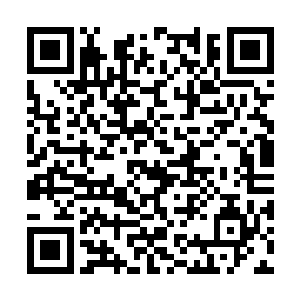 是不是很多人一厢情愿地把这一对璧人联系在一块二维码生成