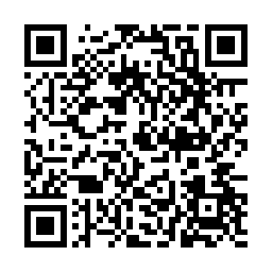 是不是昨天那些逃走的岩蚁兽把自己的同伴给召来了二维码生成