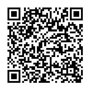 是不是正因为许紫烟这种道法自然的心境才让许紫烟的修为提升的如此之快二维码生成
