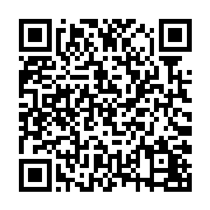 是不是紫罗刹家族和自己家族都发做出了一样的决定二维码生成