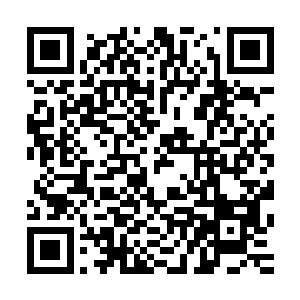 是不是被别人抹干吃尽的……她想起第一次在任务中见面就是二维码生成