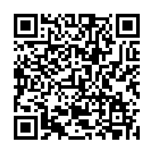 是不是觉得自己在任务中纵情享乐的样子被人看到二维码生成