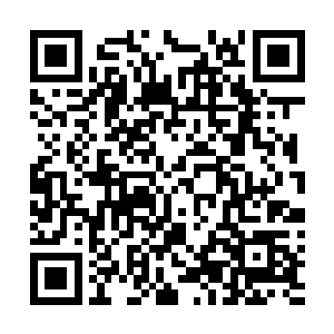 是不是说在剧情中消耗的生命只会消耗玩家本来的生命值二维码生成