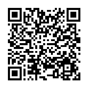 是两条神秘巨龙在葬圣谷深处翻腾才引发地底圣气冲天二维码生成