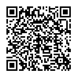 是为对方的等级做贡献还是收获经验值和装备材料就看自己有没有那个本事了二维码生成