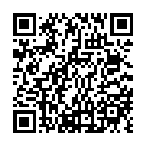 是什么导致了古城中的生物都发生了如此奇特而强力的变异二维码生成