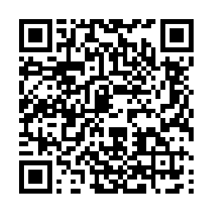 是什么样的力量让秦嫣然有如此的勇气冲出来救自己的二维码生成