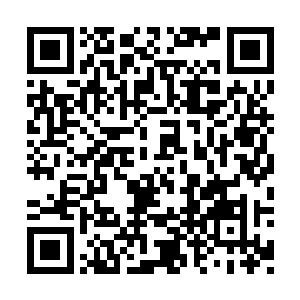 是从来都没有为一个我不认识的人做过这样的事二维码生成