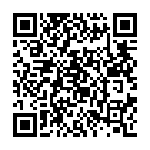 是你说害怕日后保障所以想要高考我才会给你的二维码生成