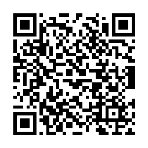 是共同从星海共和国的腐尸上生长出来的两朵毒花二维码生成