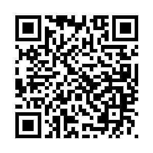 是关于莫小鱼在周末举行画展的事二维码生成