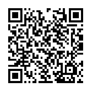 是冒着很大的风险将自己从死翼骑士手中救下来的二维码生成