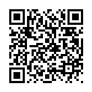 是凝聚了圣盟千年资源和技术的结晶二维码生成