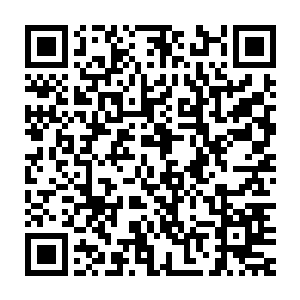 是几个意思要朝我动手吗我们欧阳家的两条狗还要咬我这个主人了吗二维码生成