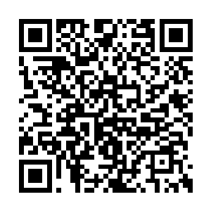 是刚刚在溪边用伞兵刀从猪腹部切下的上好肉块二维码生成