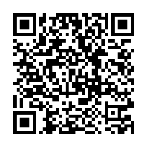 是另外的一位……即便秦方很可能是那位色神的弟子二维码生成