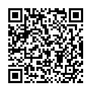 是否可以与那护山神兽相提并论……若真的达到那样的层次二维码生成