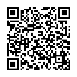 是否真的能以一敌五斩杀地方五名天空圣师阶级的强者二维码生成