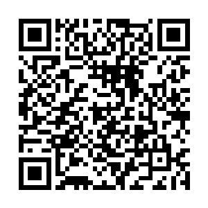 是吸引诸多至尊带着天才后辈前来提亲的第一原因二维码生成