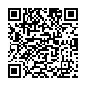 是因为……大人还不知道这次进入混乱山的都是什么实力的人二维码生成
