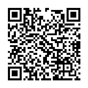 是因为他下面的身子早就不知用什么方法被斩断了二维码生成