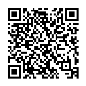 是因为他们的队友都无条件地信任他们可以在比赛中开瑞队伍二维码生成