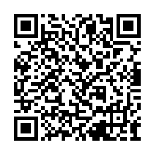 是因为他看到自己的老对手刀疤天天跑苏落面前二维码生成