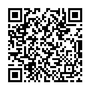 是因为在她们最璀璨的年华里像流星一样滑过身体二维码生成